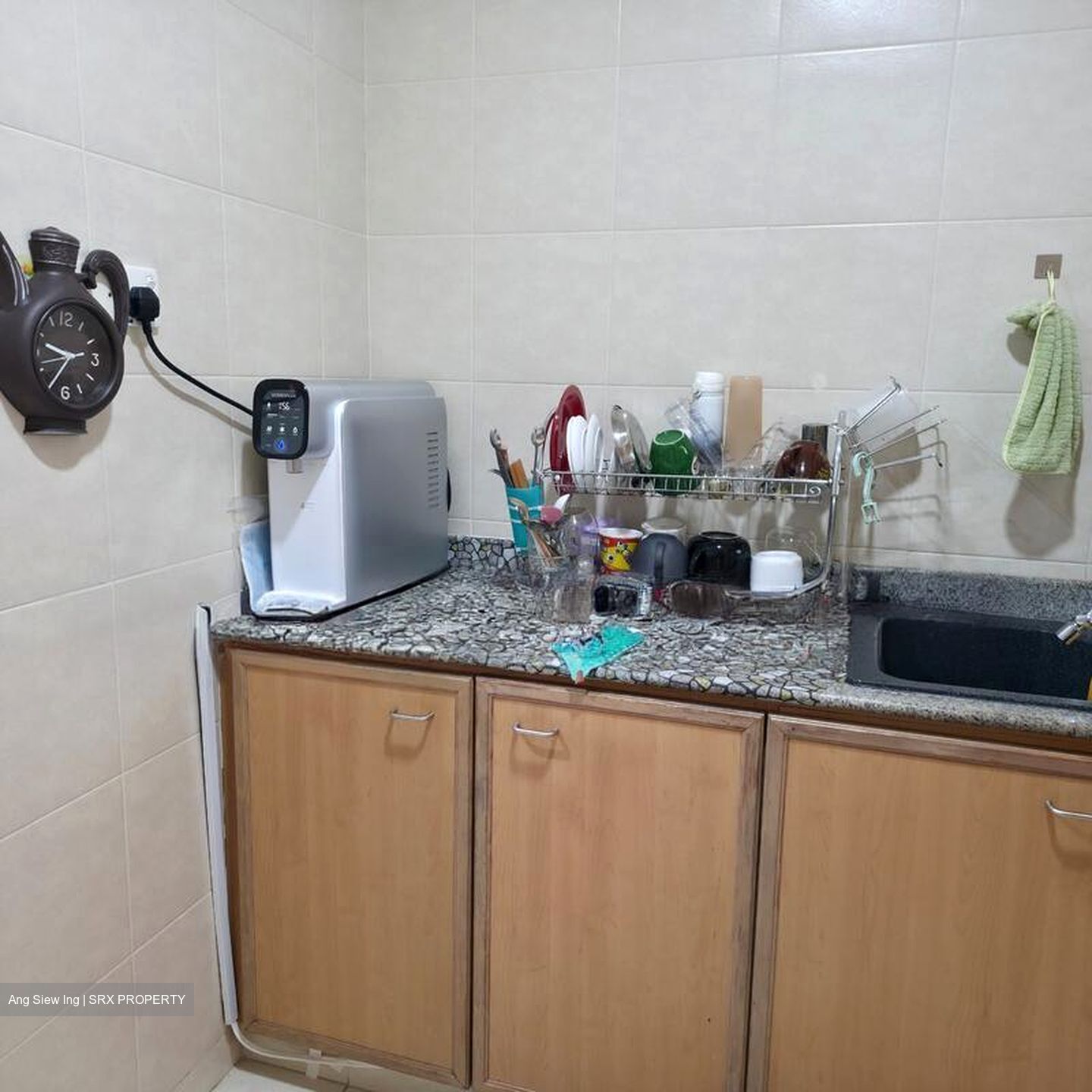 The Springside (D26), Terrace #509508481